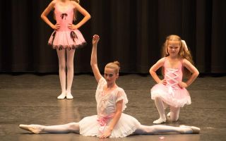 2016 304 Ballet-Sommerfest